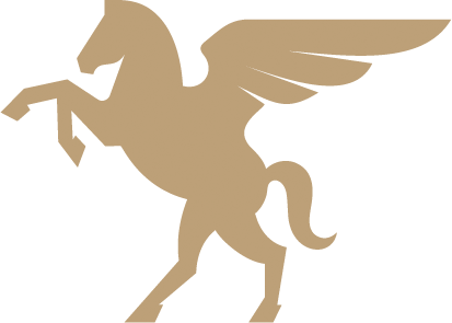 Chambers Insurance - Logo Icon